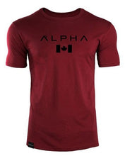 Load image into Gallery viewer, Nirvana T-shirts Men/Women Summer Tops